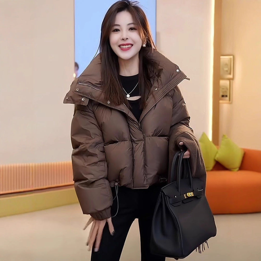 537ea0e85a43ecfd9398151a501615e2