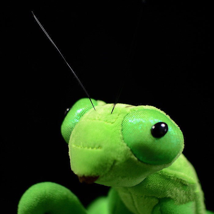 Lifelike Mantis Plush Toys Mantis Stuffed Animals Toy For Kids – image 7
