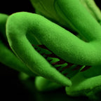 Lifelike Mantis Plush Toys Mantis Stuffed Animals Toy For Kids – image 5