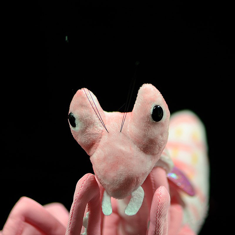 Lifelike Mantis Plush Toys Mantis Stuffed Animals Toy For Kids – image 8