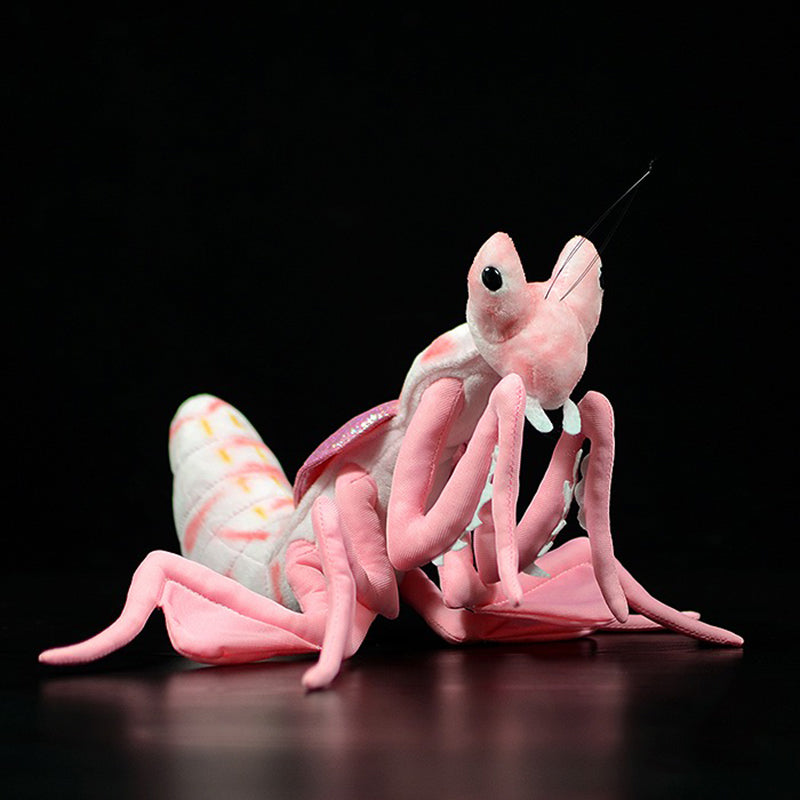 Lifelike Mantis Plush Toys Mantis Stuffed Animals Toy For Kids – image 10