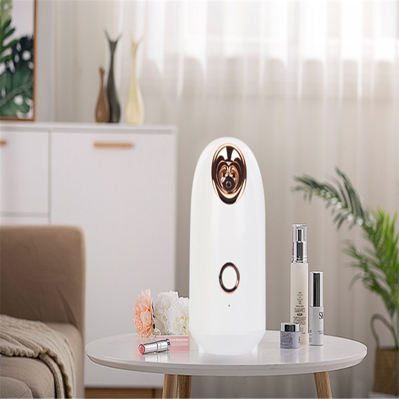 Beauty Steamer – image 6