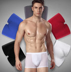 Ice Silk Seamless Men Boxers Luxury Boxers Underwear Sp – image 3